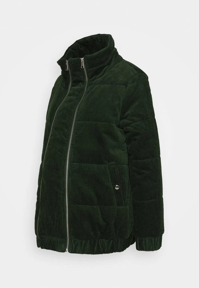 MAMALICIOUS MLDAPHNE JACKET - Veste D'hiver - Mountain View