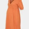 MAMALICIOUS MLBRANCH TESS DRESS - Robe En Jersey - Autumn Leaf