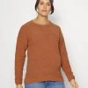MAMALICIOUS CRUSH - Pullover - Cedar Wood